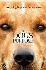 Watch A Dog's Purpose Putlocker