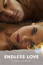 Watch Endless Love Putlocker