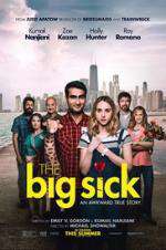 Watch The Big Sick Putlocker