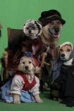 Watch Heidi 4 Paws Putlocker