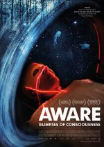 Watch Aware: Glimpses of Consciousness Putlocker