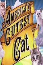 Watch America's Cutest Cat Putlocker