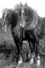 Watch All the King\'s Horses Putlocker