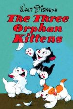 Watch Three Orphan Kittens Putlocker