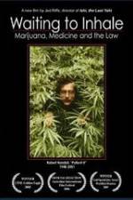 Watch Waiting to Inhale Putlocker