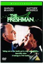 Watch The Freshman Putlocker