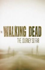 Watch The Walking Dead: The Journey So Far Putlocker