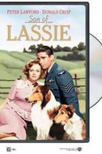 Watch Son of Lassie Putlocker
