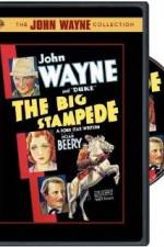 Watch The Big Stampede Putlocker