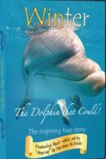 Watch Winter The Dolphin That Could Putlocker