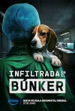 Watch Infiltrada en el búnker Putlocker