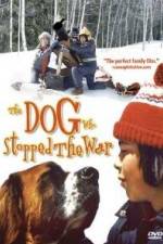 Watch La guerre des tuques Putlocker