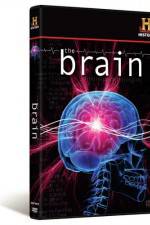Watch The Brain Putlocker