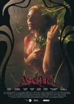 Watch Asche Putlocker