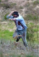 Watch Riot or Revolution: Eureka Stockade 1854 Putlocker