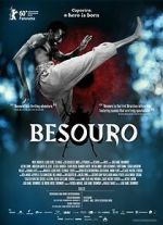 Watch The Assailant Putlocker