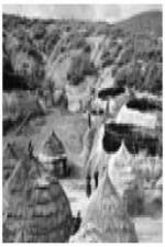 Watch Shelter Putlocker