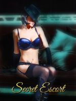 Watch Secret Escort Putlocker