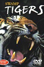 Watch Swamp Tigers Putlocker