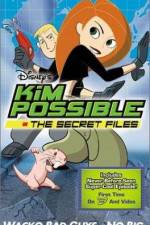 Watch "Kim Possible" Attack of the Killer Bebes Putlocker