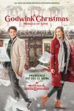 Watch A Godwink Christmas: Miracle of Love Putlocker