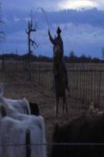 Watch Cowboy Christmas Putlocker