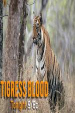 Watch Discovery Channel-Tigress Blood Putlocker