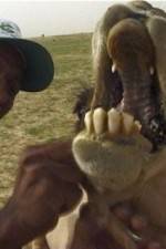 Watch With the Nomads Putlocker