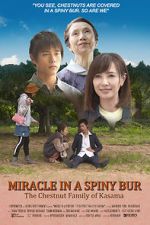 Watch Miracle in Kasama Putlocker