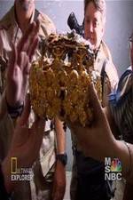 Watch Iraq's Lost Treasure Putlocker