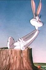 Watch The Unruly Hare Putlocker