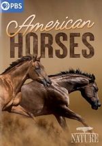Watch American Horses Putlocker