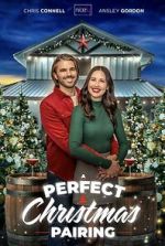 Watch A Perfect Christmas Pairing Putlocker