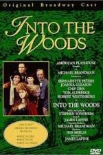Watch Into the Woods Putlocker