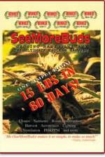 Watch SeeMoreBuds: Vol. 1 Putlocker