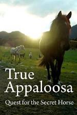 Watch True Appaloosa Putlocker