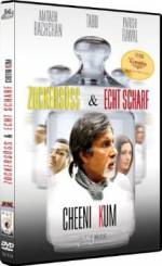 Watch Cheeni Kum Putlocker