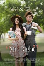 Watch Mr. Right Putlocker
