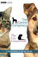Watch The Cat Connection Putlocker