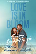 Watch Spring Breakthrough Putlocker
