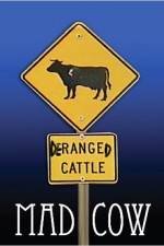 Watch Mad Cow Putlocker