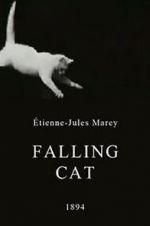Watch Falling Cat Putlocker