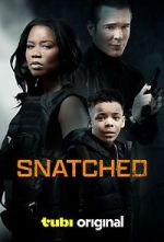 Watch Snatched Putlocker
