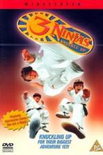 Watch 3 Ninjas Knuckle Up Putlocker