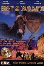 Watch Brighty of the Grand Canyon Putlocker
