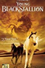 Watch The Young Black Stallion Putlocker