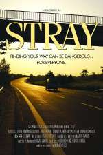 Watch Stray Putlocker