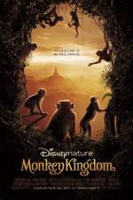 Watch Monkey Kingdom Putlocker