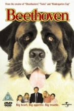 Watch Beethoven Putlocker
