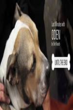 Watch Last Minutes with ODEN Putlocker